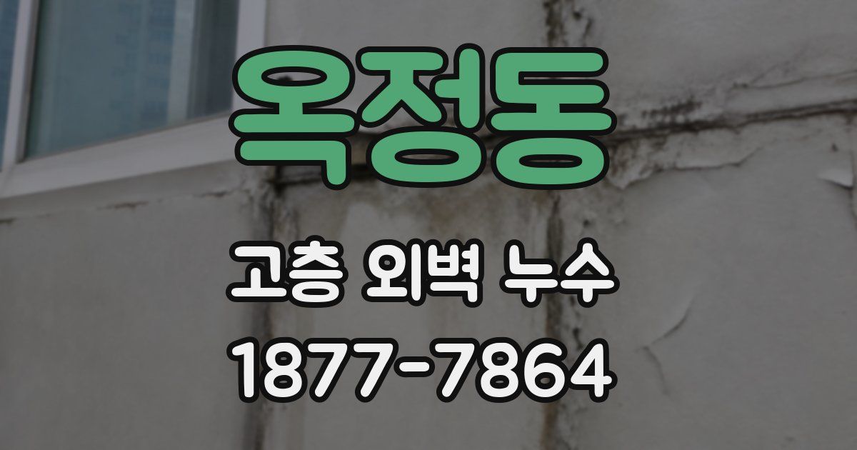 옥정동 고층 외벽 누수