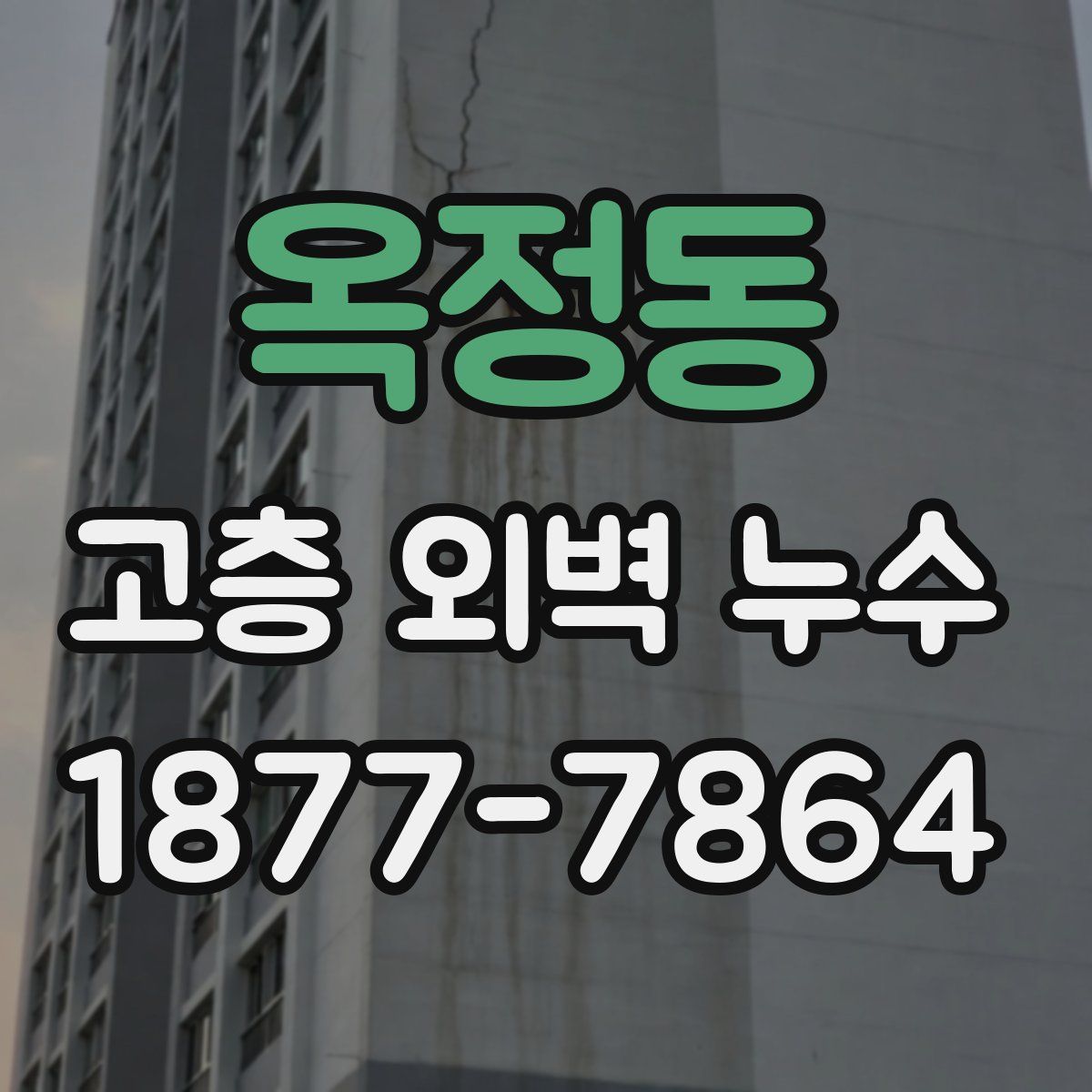 옥정동 고층 외벽 누수
