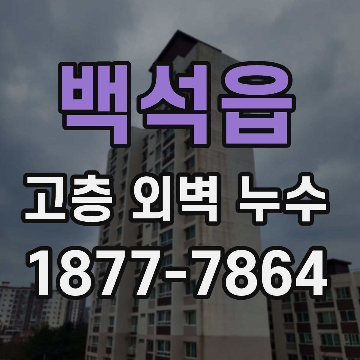 백석읍 고층 외벽 누수