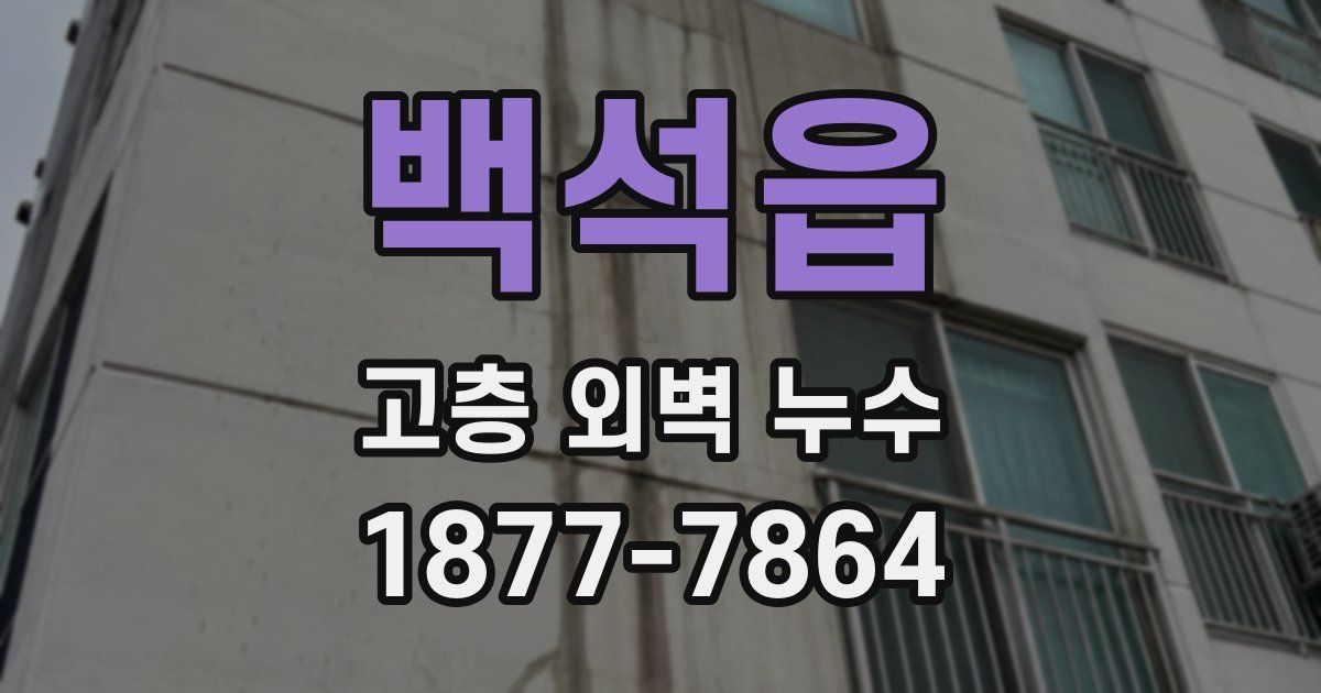 백석읍 고층 외벽 누수