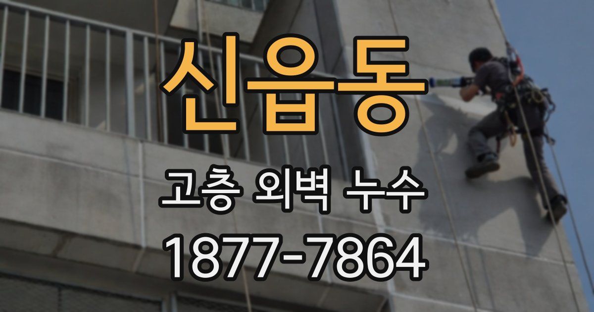 신읍동 고층 외벽 누수