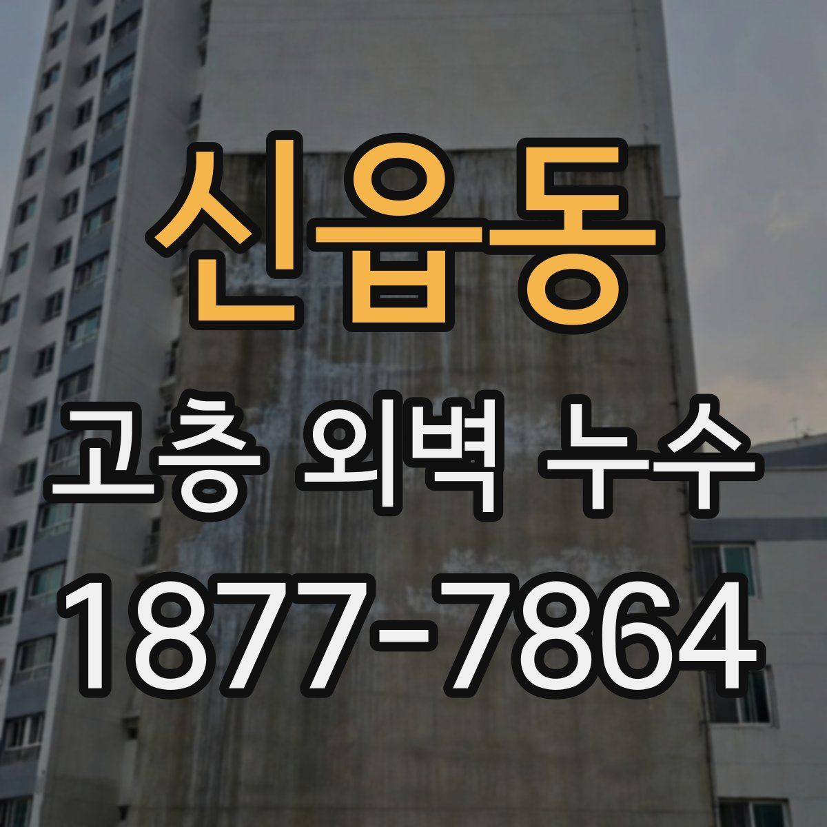 신읍동 고층 외벽 누수