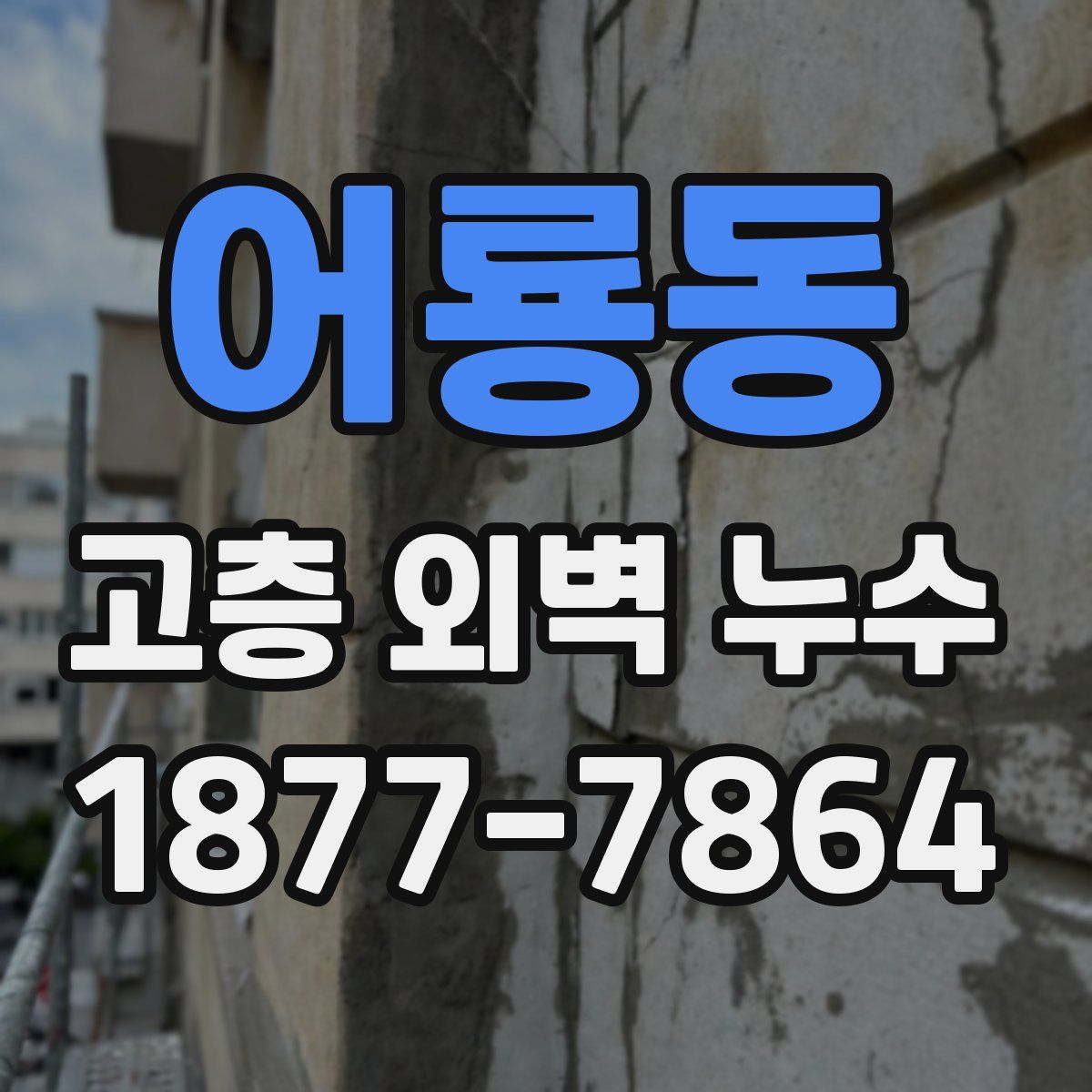 어룡동 고층 외벽 누수