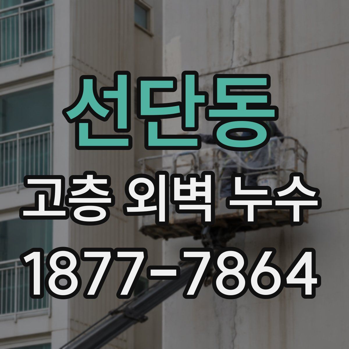 선단동 고층 외벽 누수