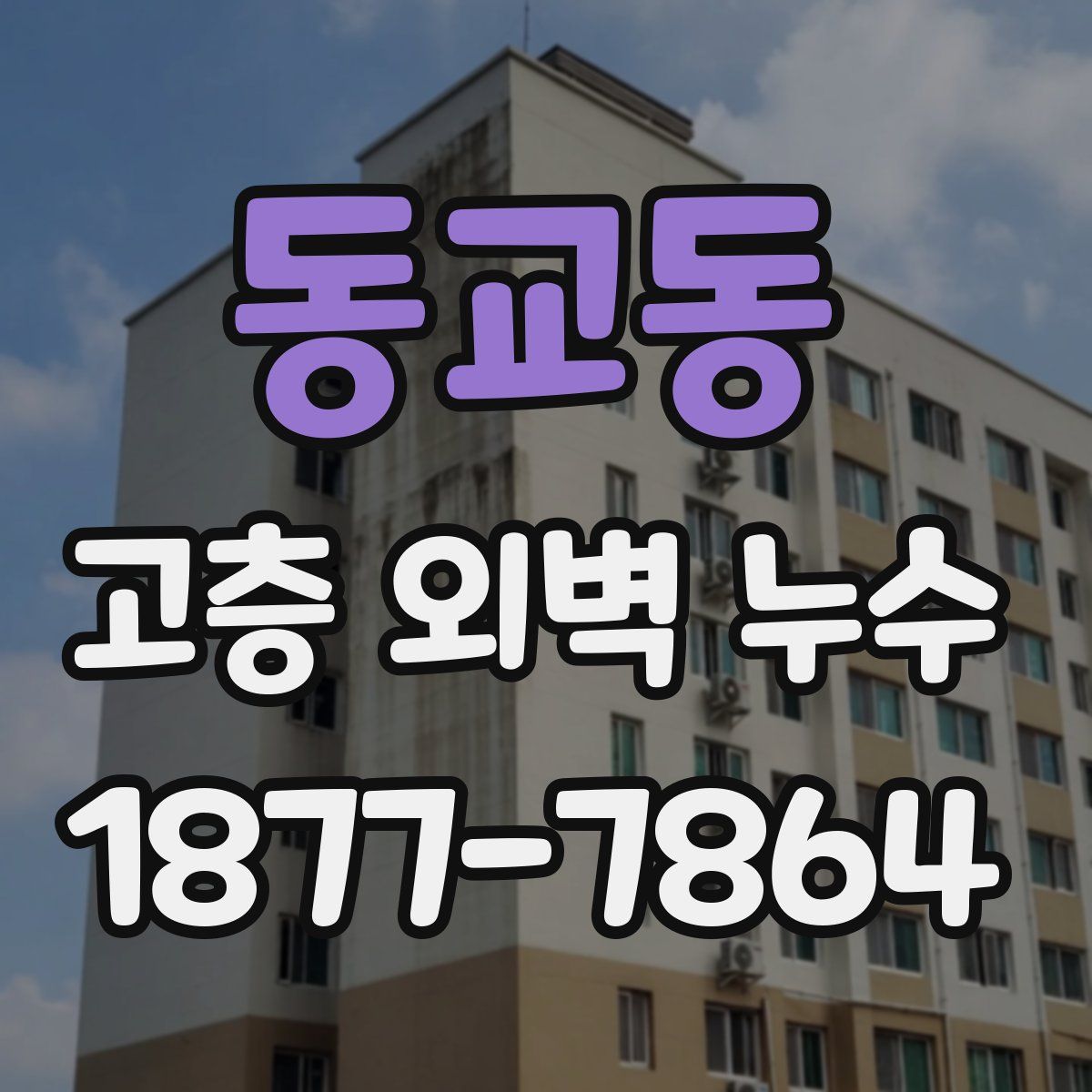 동교동 고층 외벽 누수
