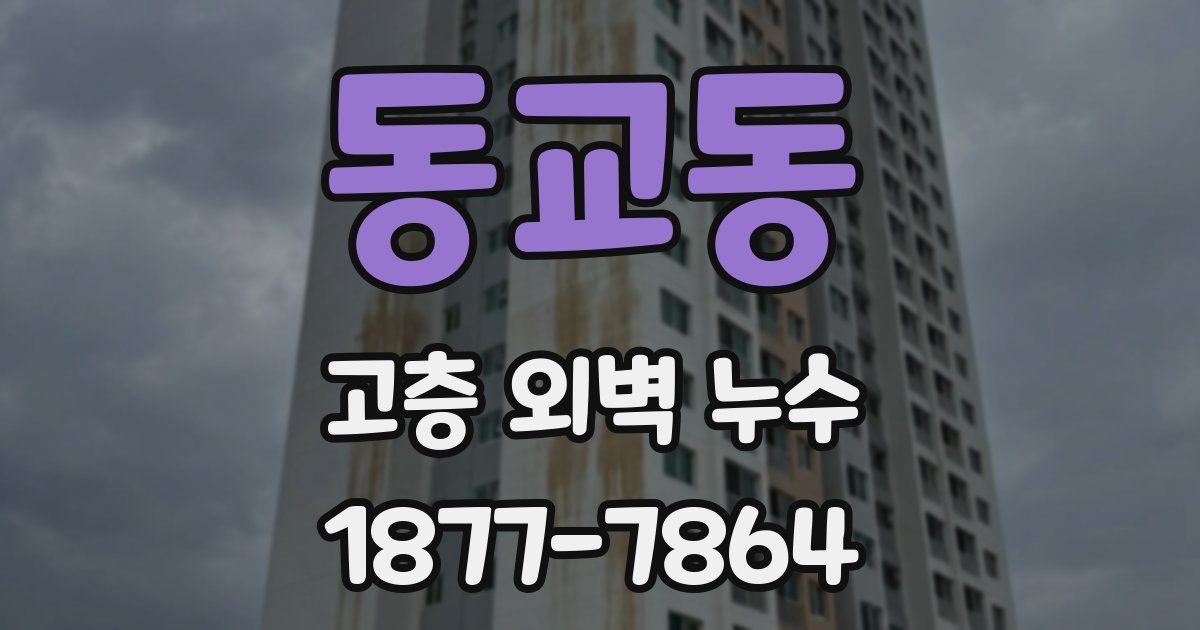 동교동 고층 외벽 누수