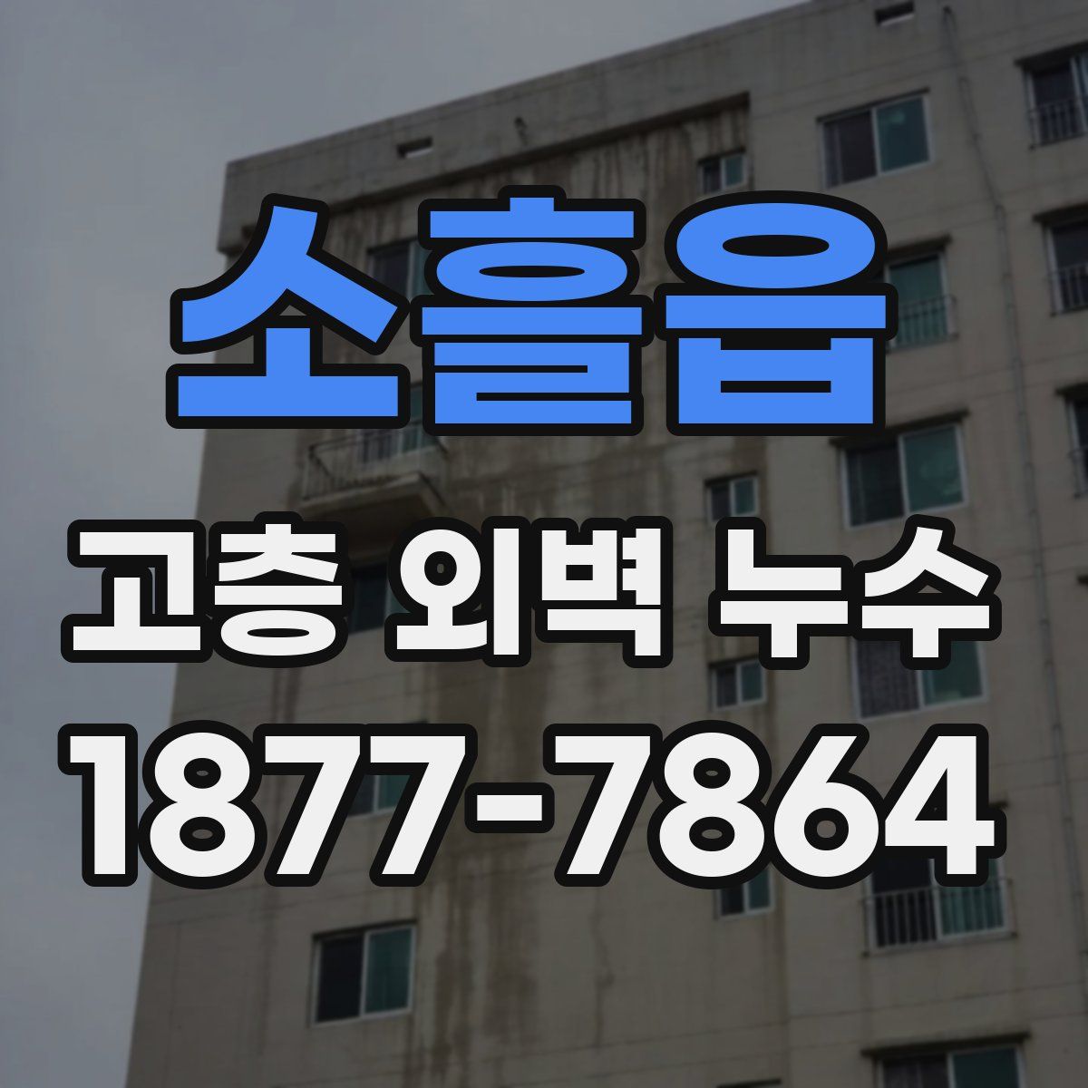 소흘읍 고층 외벽 누수