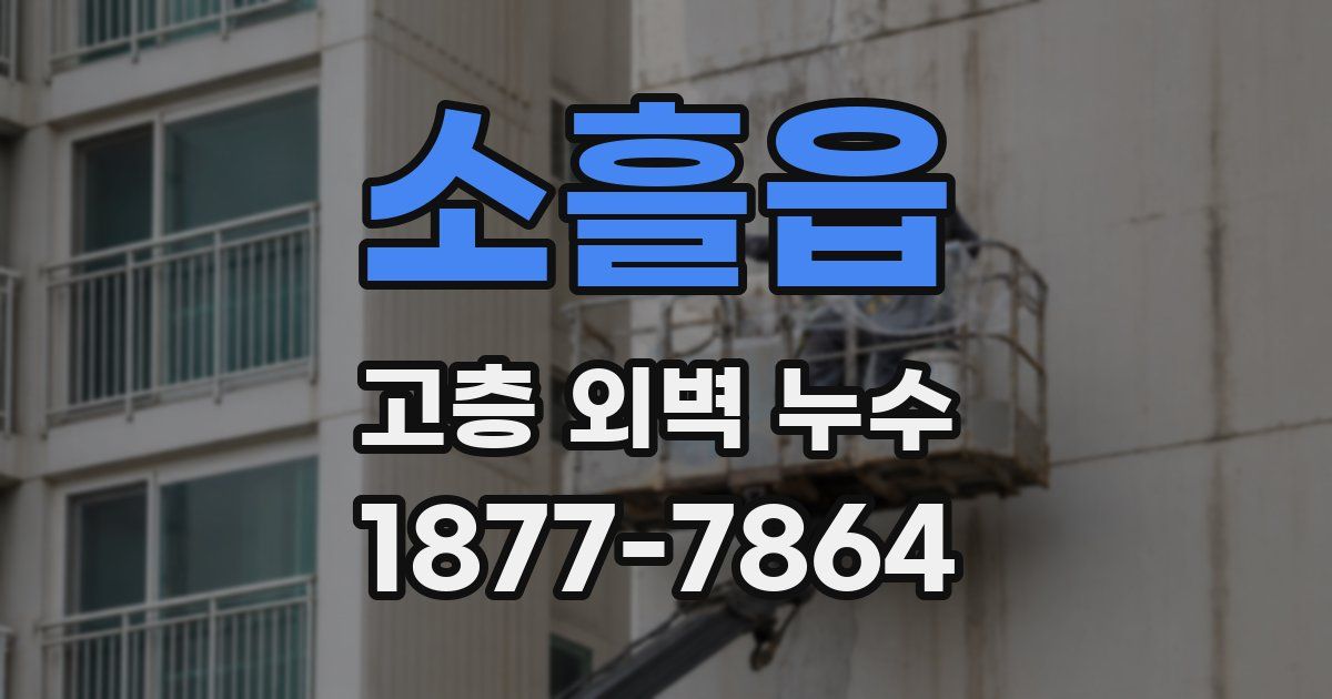소흘읍 고층 외벽 누수