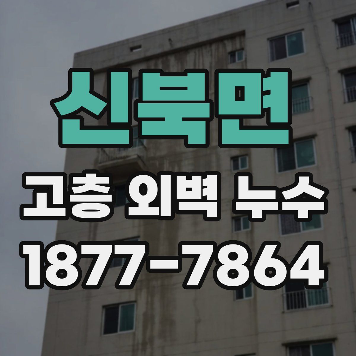 신북면 고층 외벽 누수