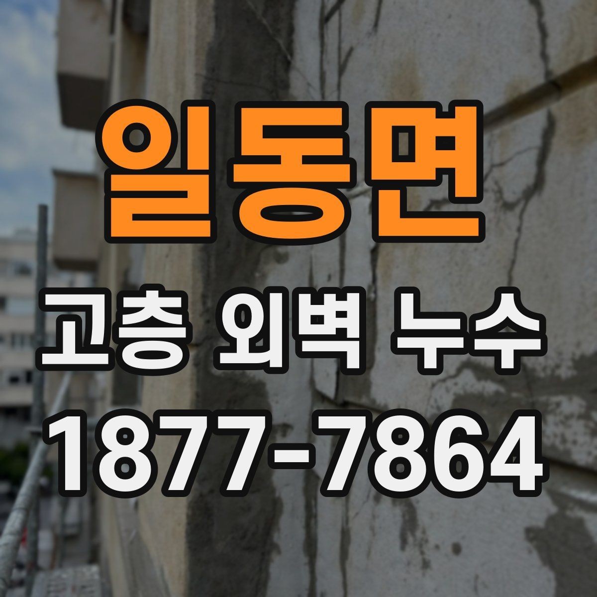 일동면 고층 외벽 누수 작업 범위는 어디까지일까