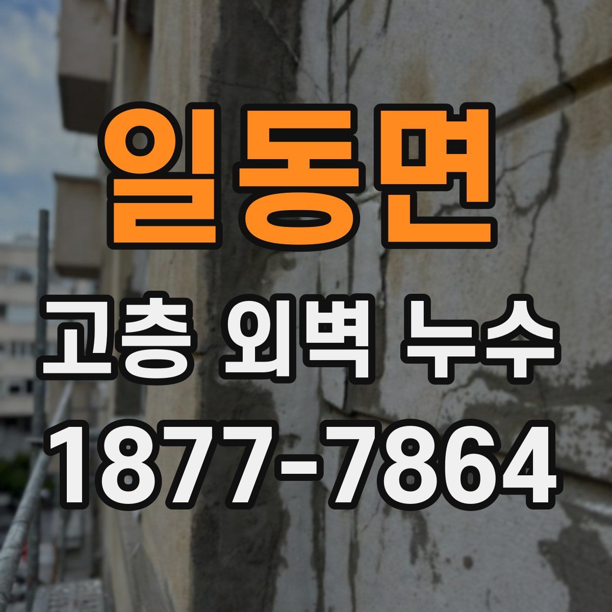 일동면 고층 외벽 누수