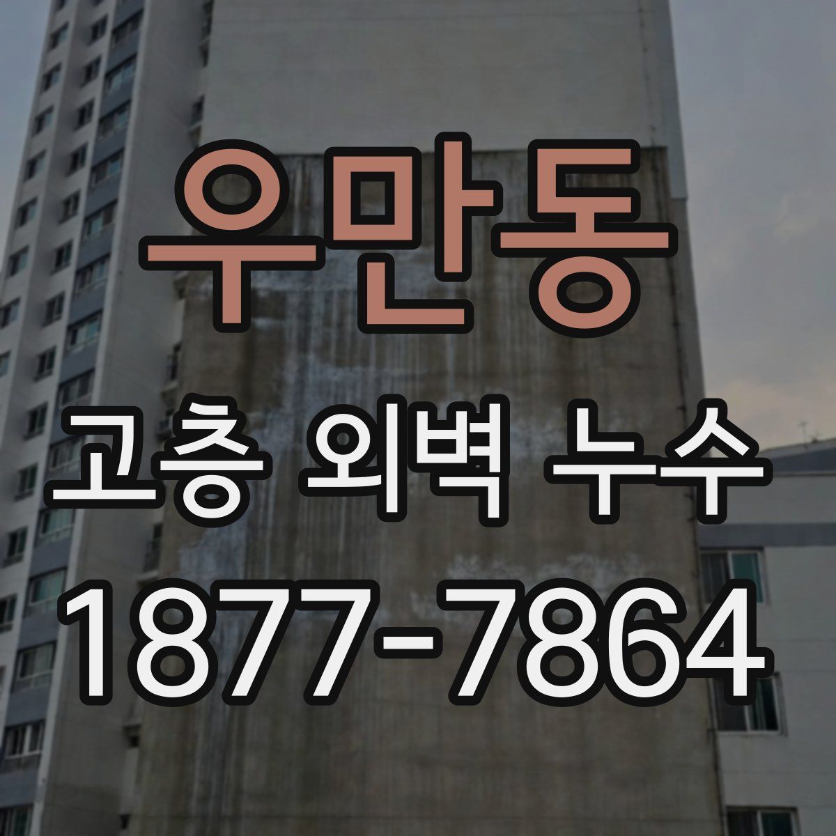 우만동 고층 외벽 누수