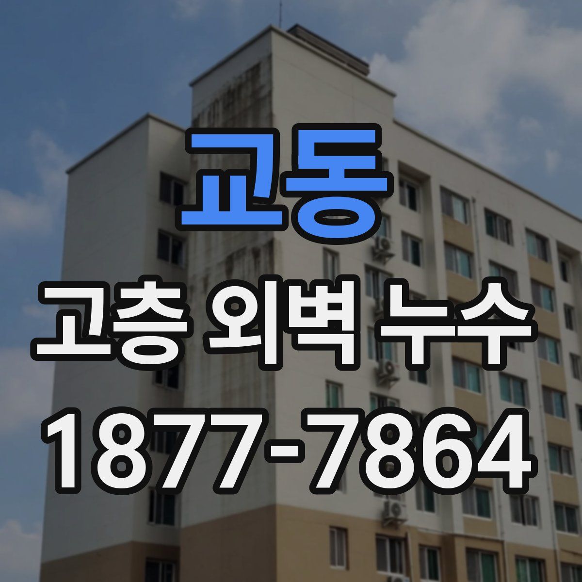 교동 고층 외벽 누수