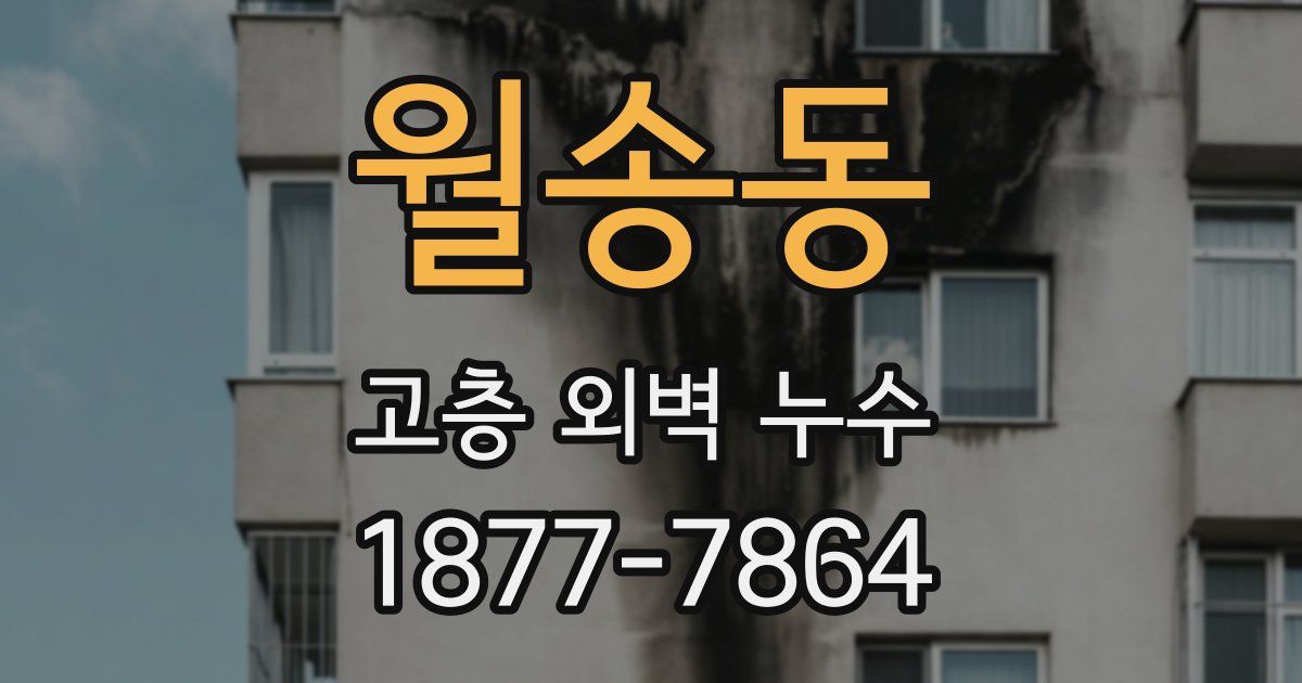 월송동 고층 외벽 누수