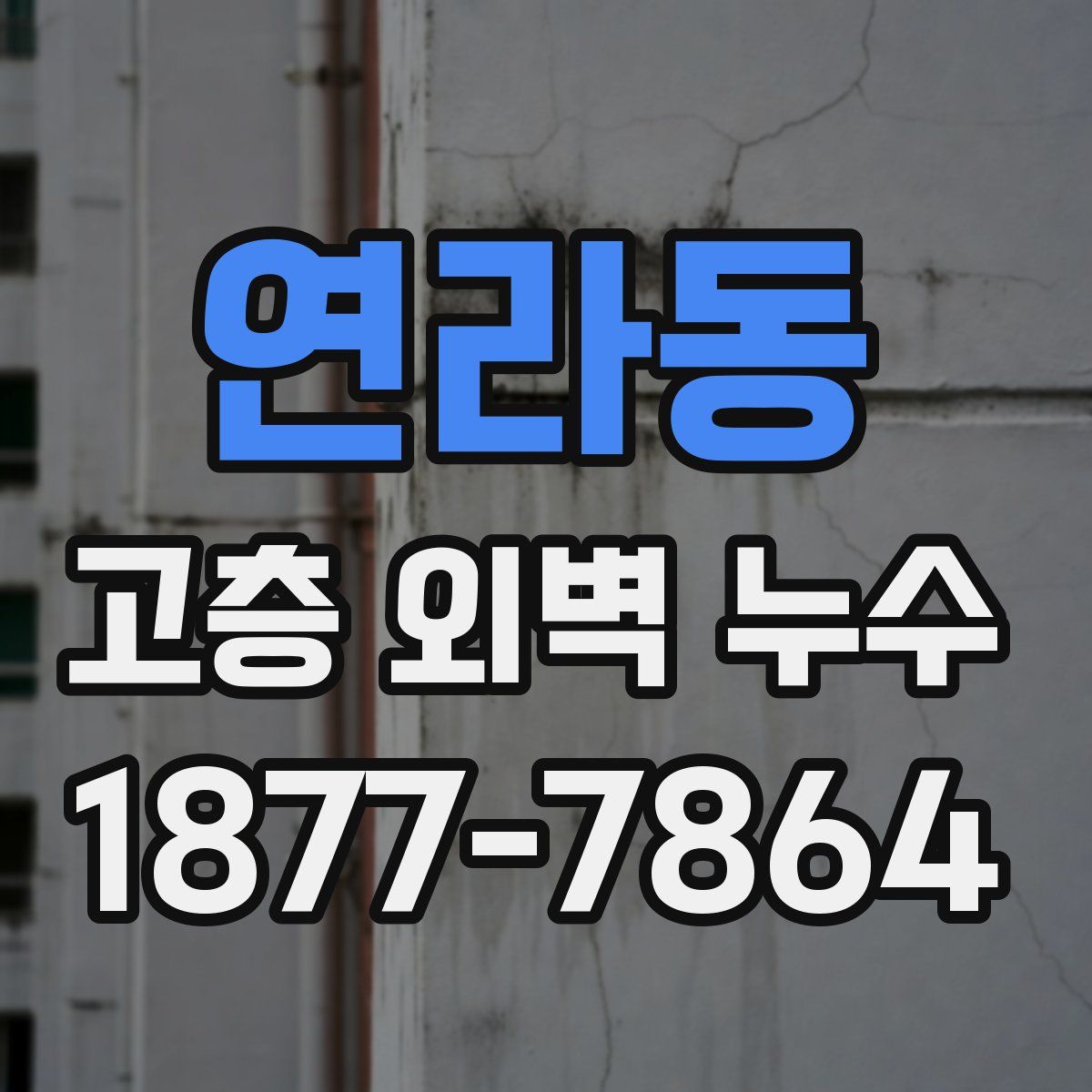 연라동 고층 외벽 누수