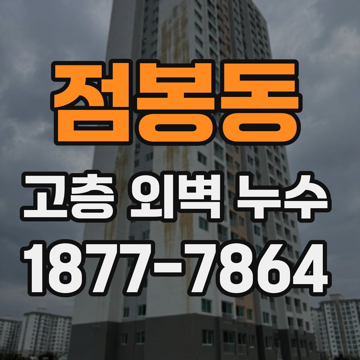 점봉동 고층 외벽 누수