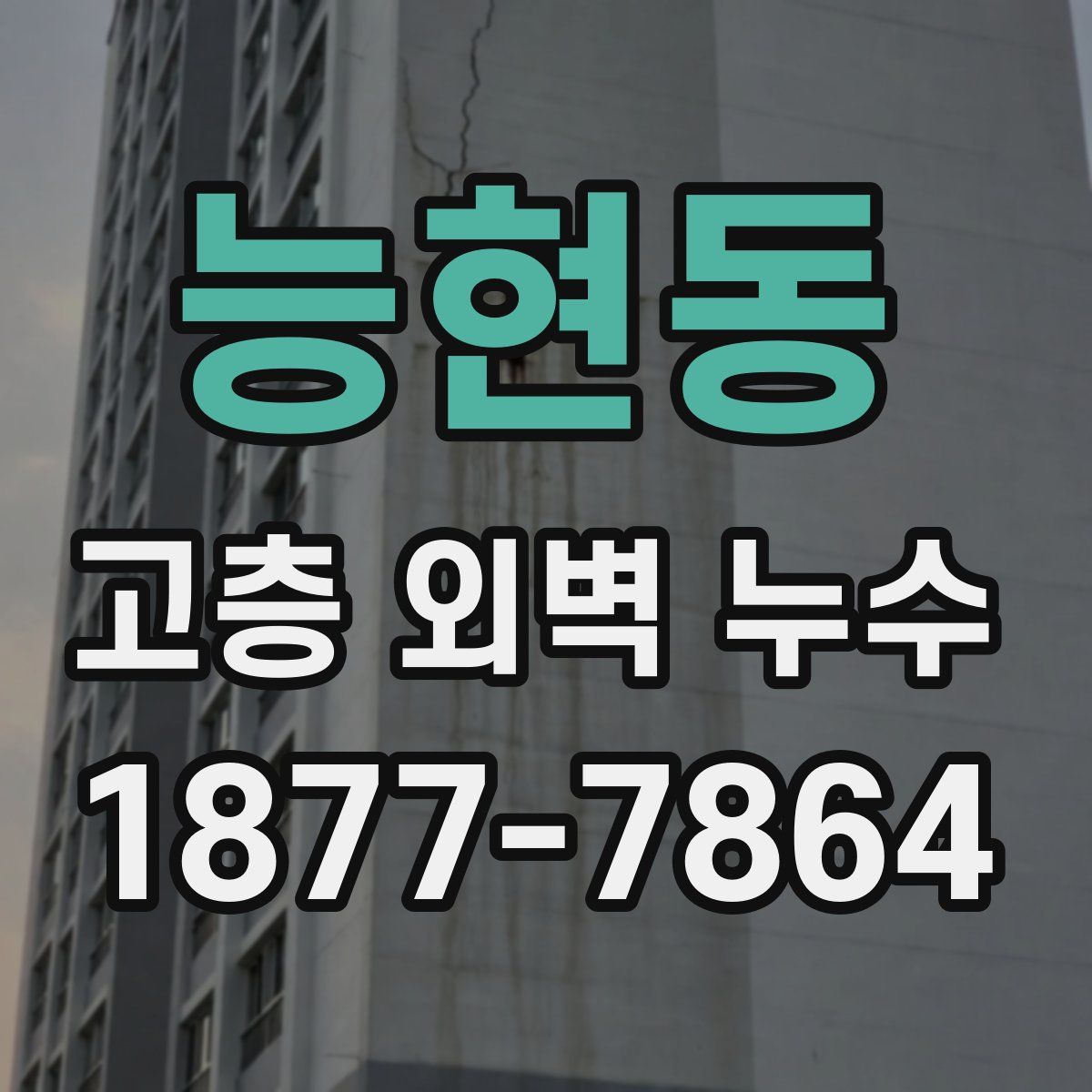 능현동 고층 외벽 누수