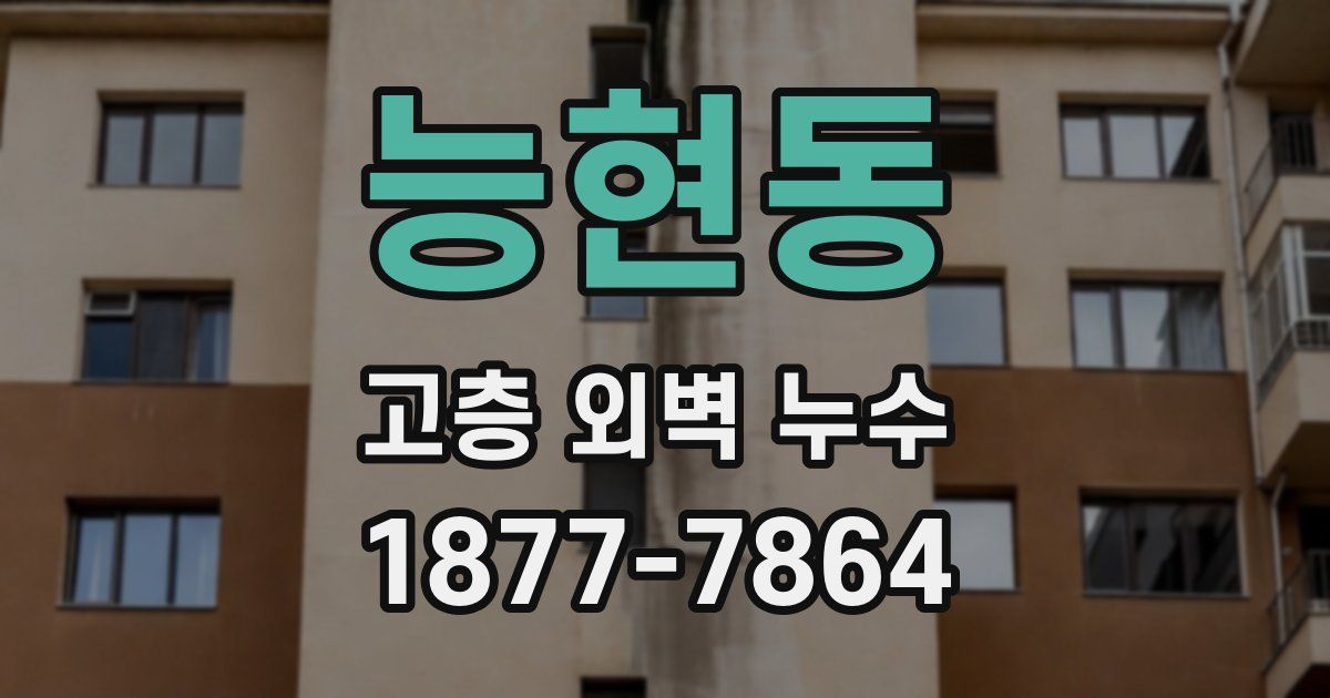 능현동 고층 외벽 누수