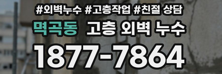 멱곡동 고층 외벽 누수