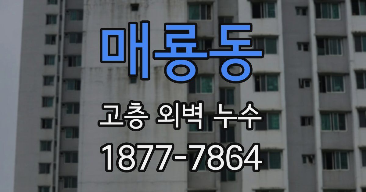 매룡동 고층 외벽 누수