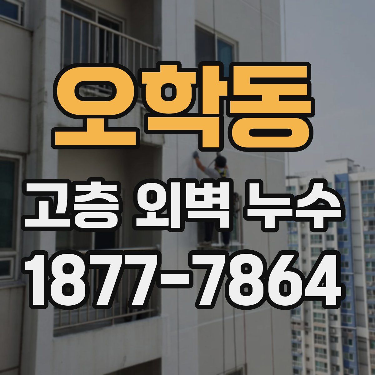 오학동 고층 외벽 누수