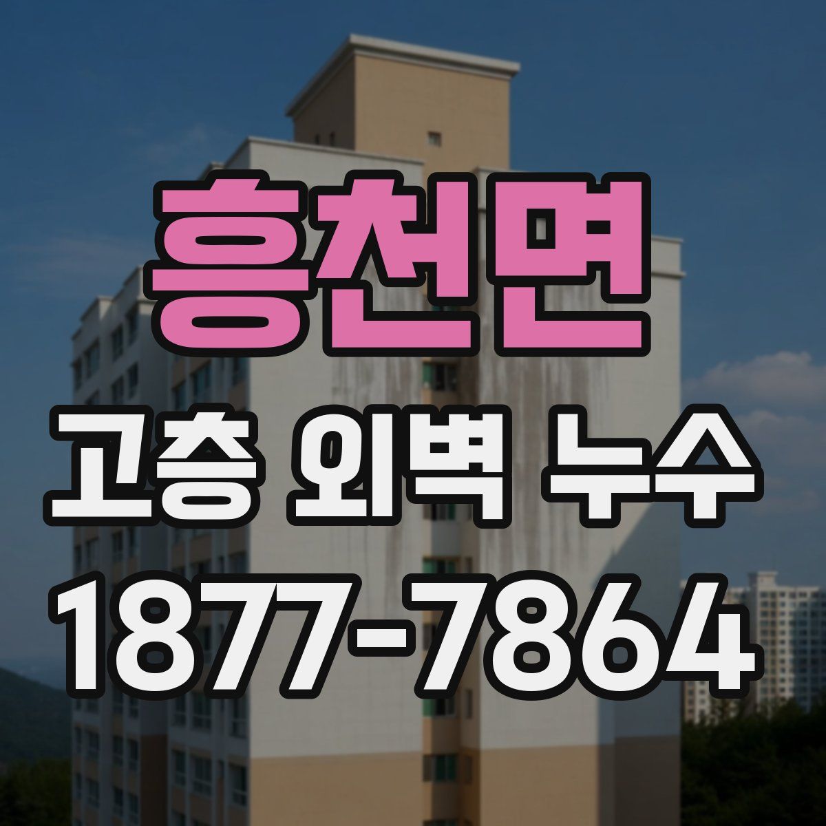 흥천면 고층 외벽 누수