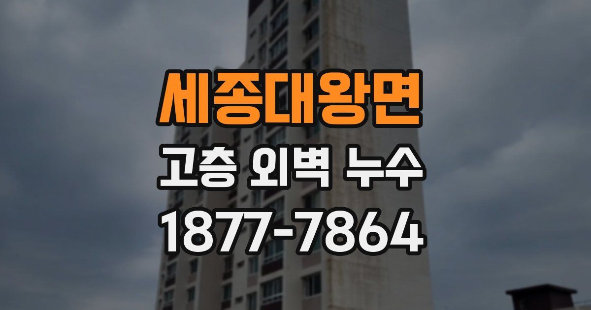 세종대왕면 고층 외벽 누수
