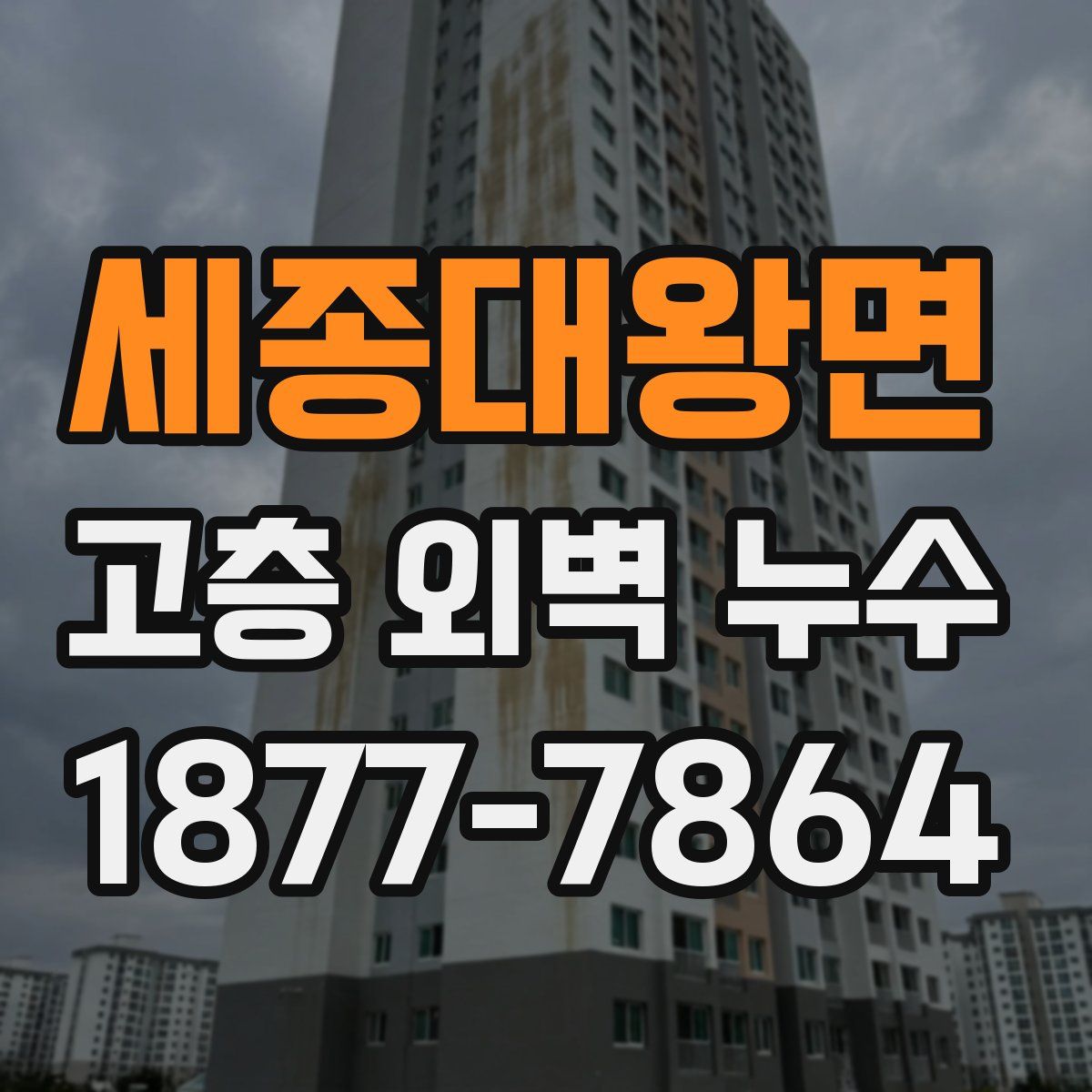 세종대왕면 고층 외벽 누수