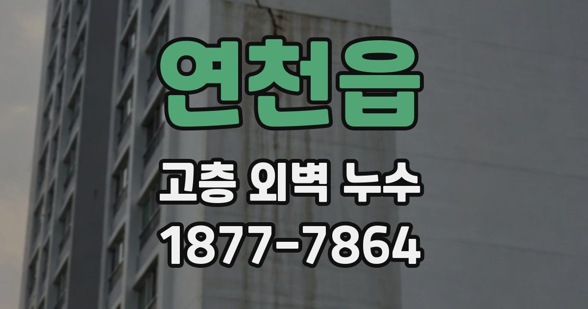 연천읍 고층 외벽 누수