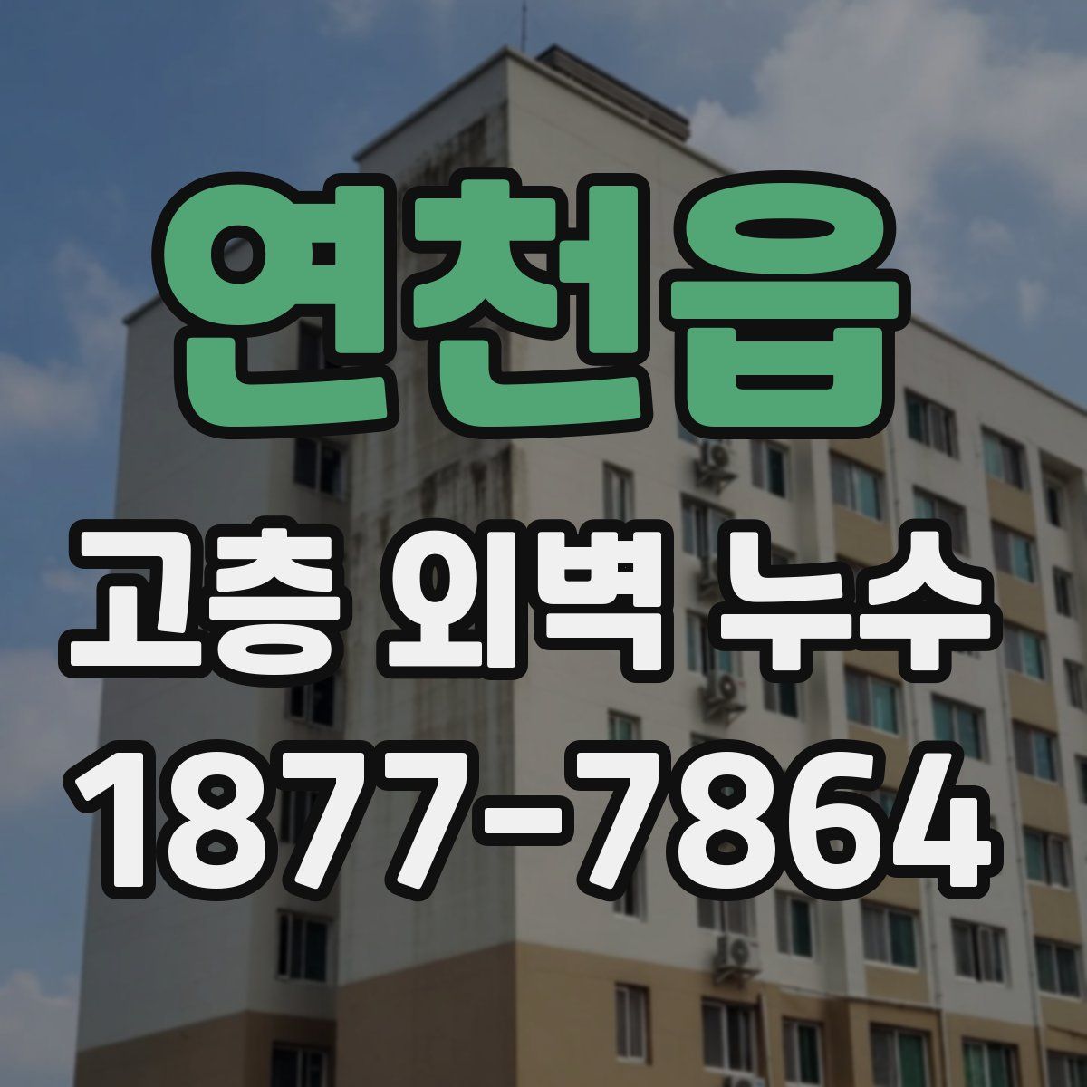연천읍 고층 외벽 누수