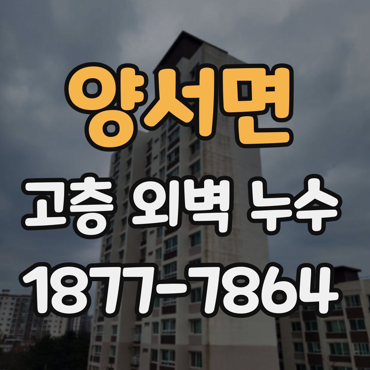 양서면 고층 외벽 누수