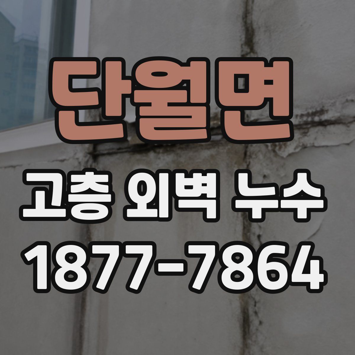 단월면 고층 외벽 누수