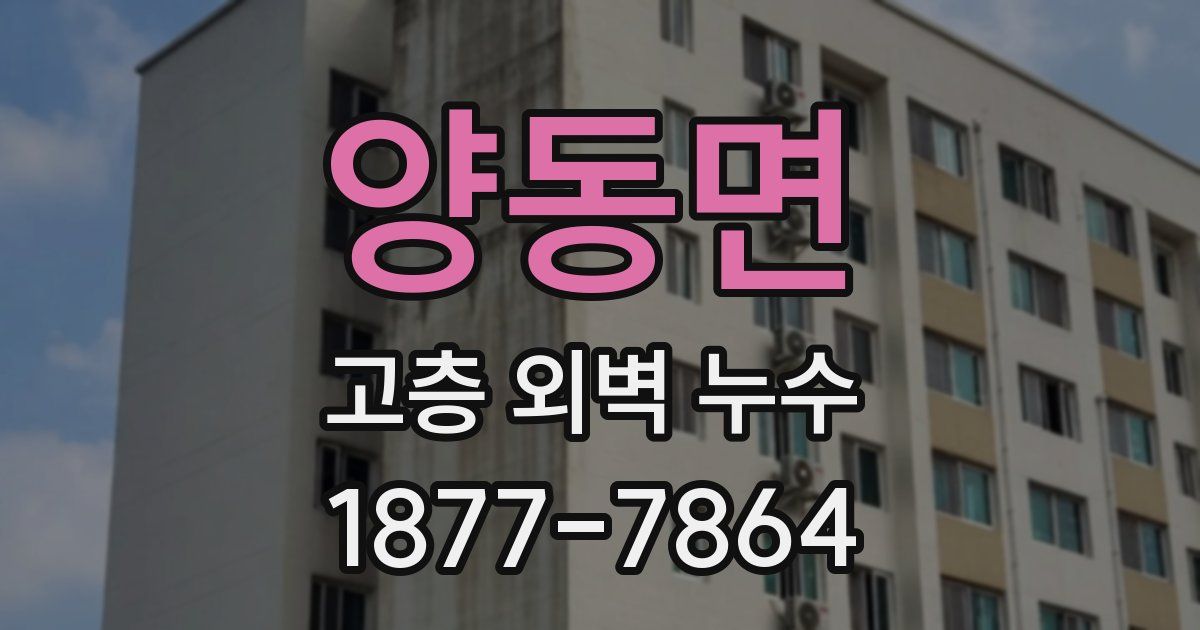 양동면 고층 외벽 누수