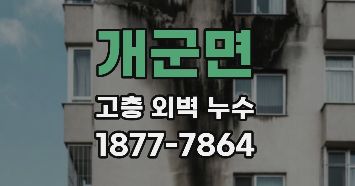 개군면 고층 외벽 누수