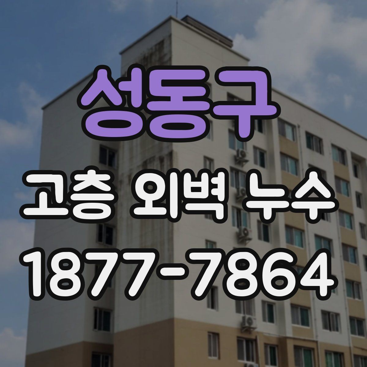 성동구 고층 외벽 누수 외벽 점검 주기를 어떻게 잡을까