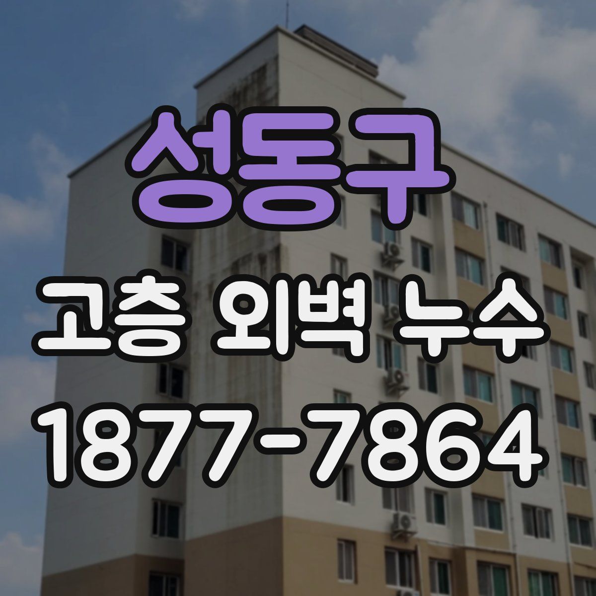 성동구 고층 외벽 누수