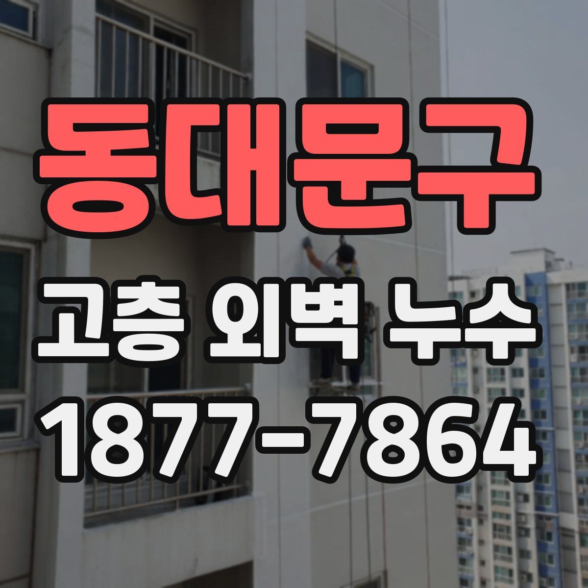 동대문구 고층 외벽 누수