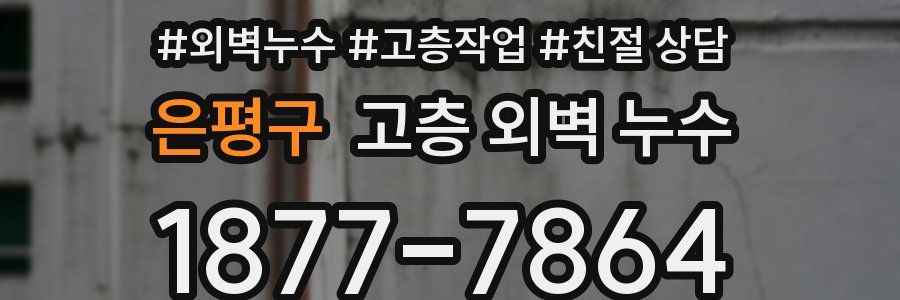 은평구 고층 외벽 누수