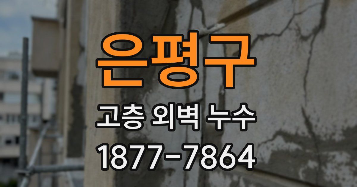 은평구 고층 외벽 누수