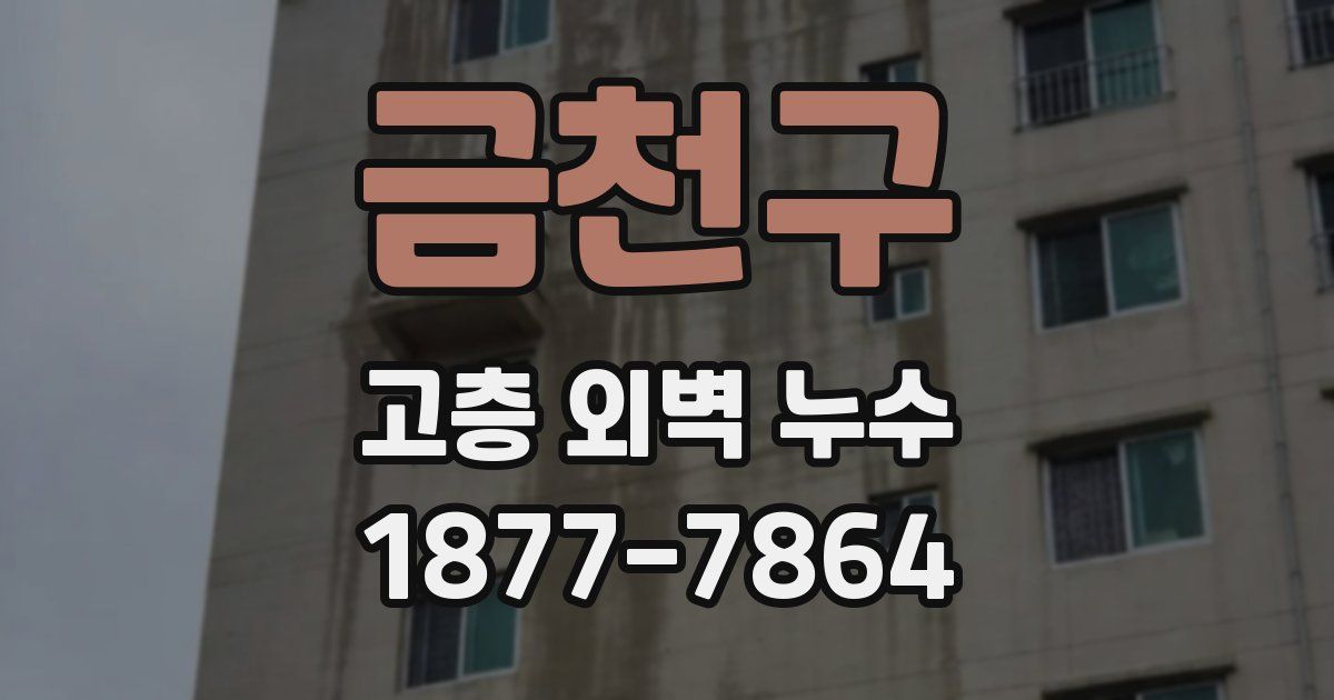 금천구 고층 외벽 누수