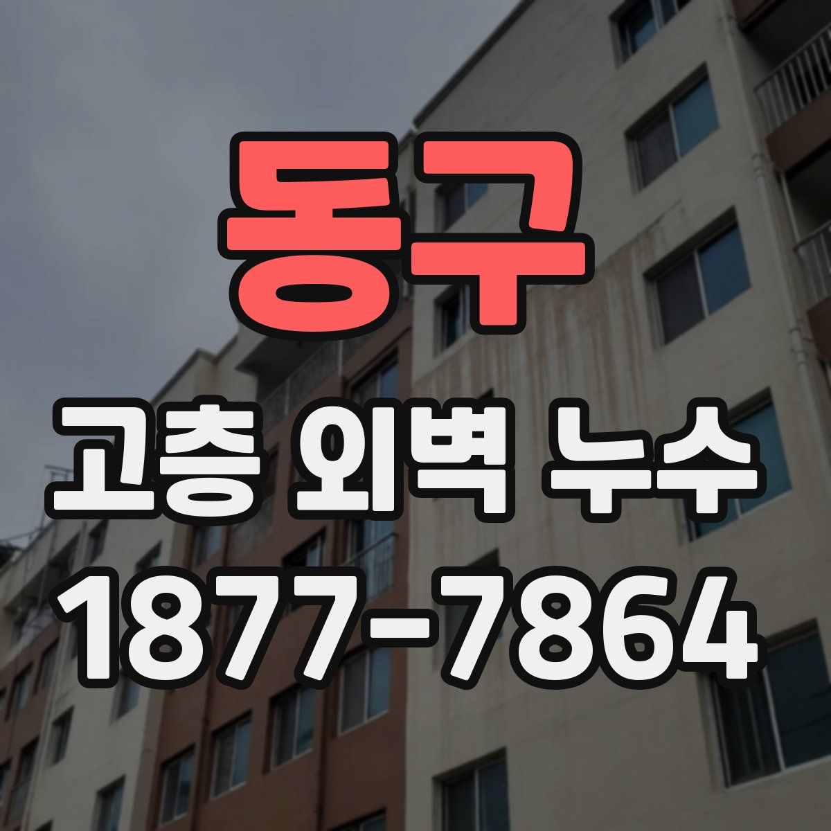 동구 고층 외벽 누수