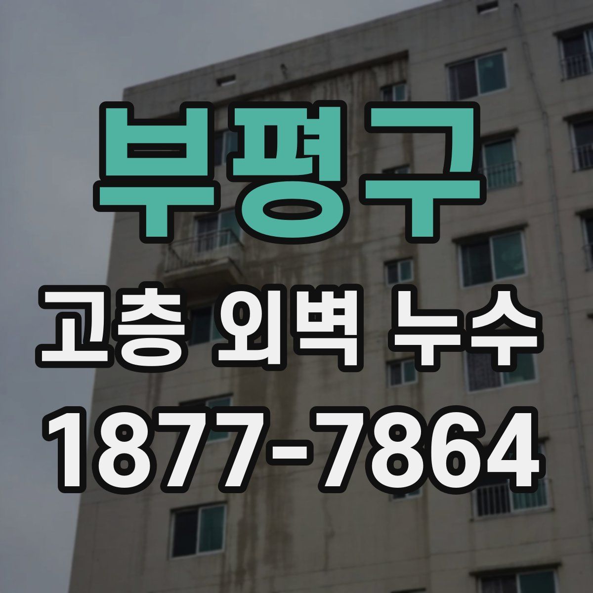 부평구 고층 외벽 누수