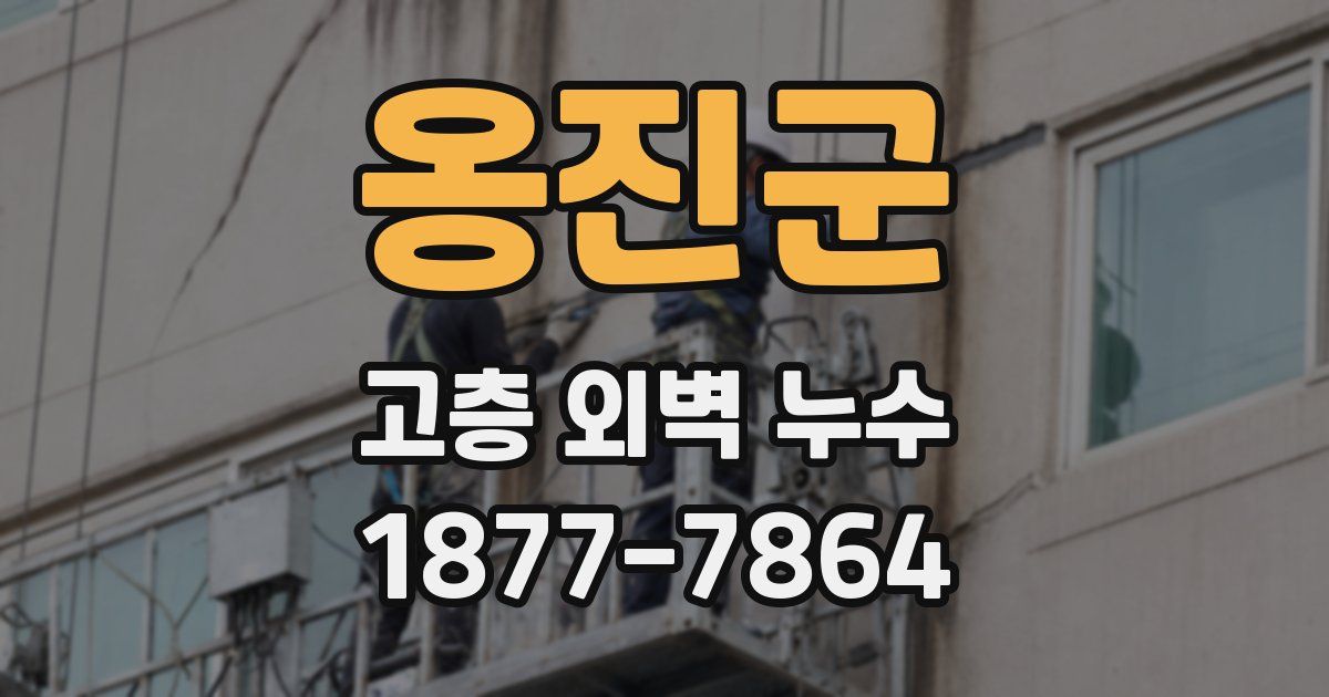 옹진군 고층 외벽 누수
