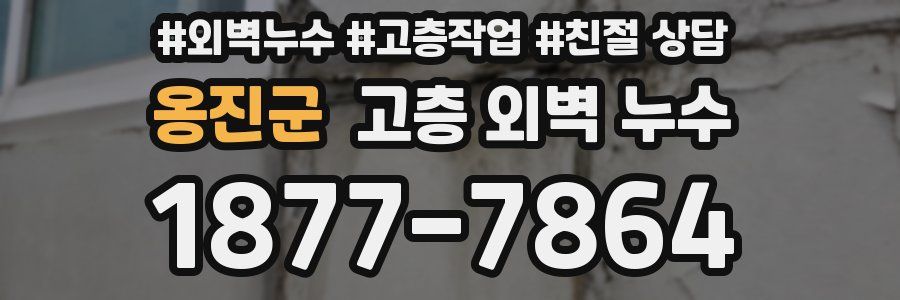 옹진군 고층 외벽 누수