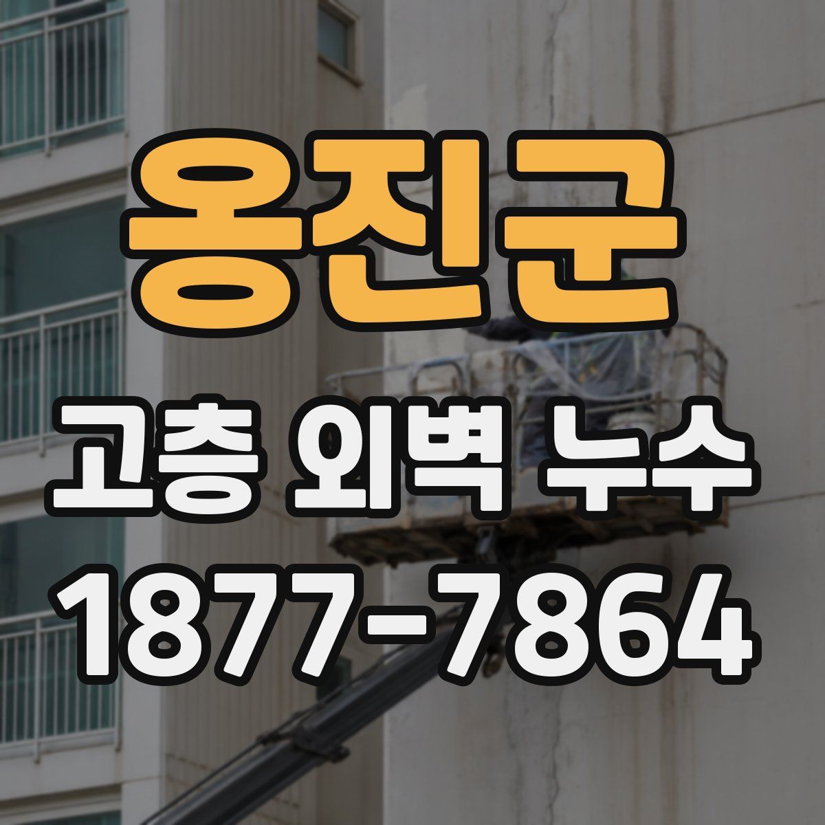 옹진군 고층 외벽 누수