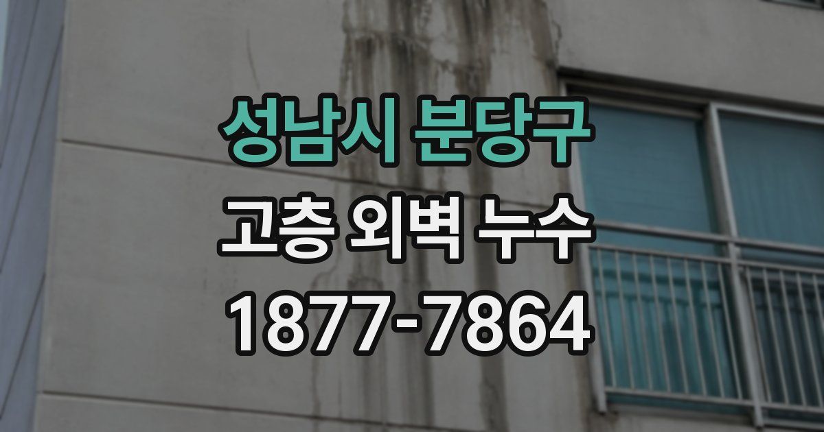 성남시 분당구 고층 외벽 누수