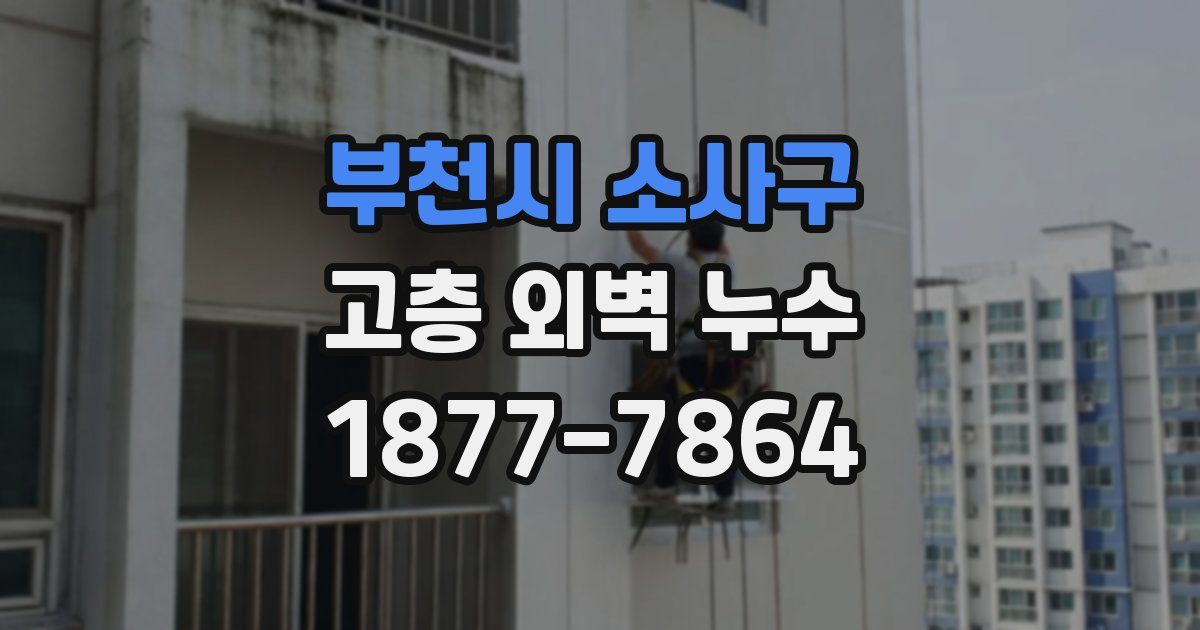 부천시 소사구 고층 외벽 누수