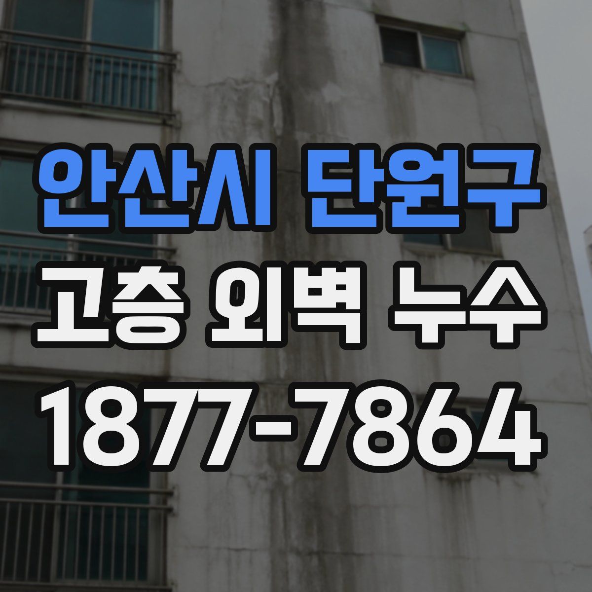 안산시 단원구 고층 외벽 누수