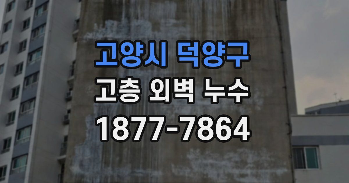 고양시 덕양구 고층 외벽 누수