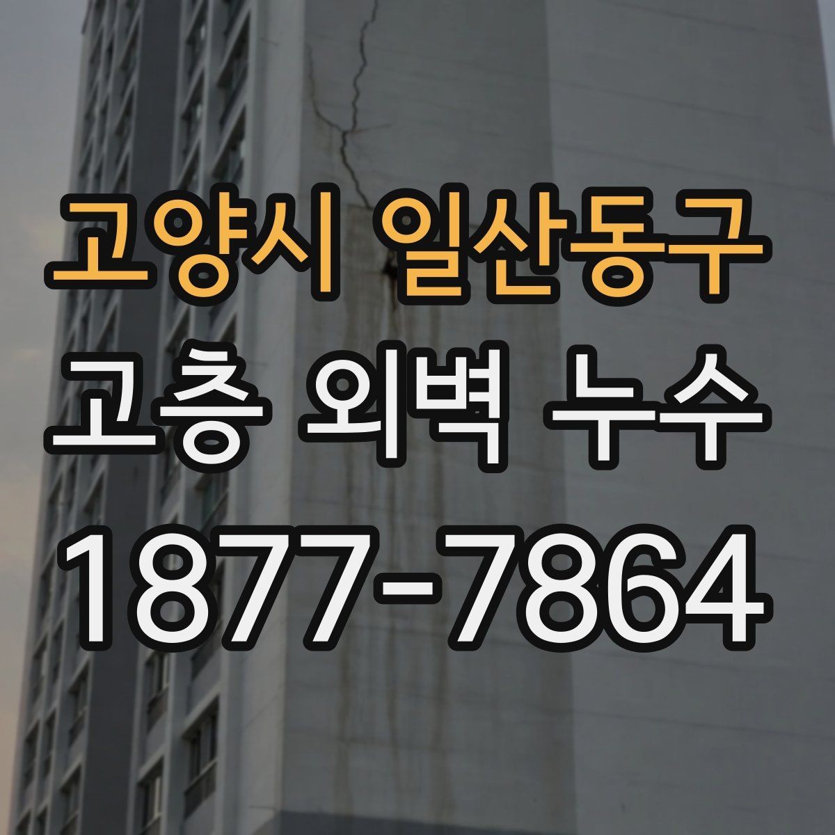 고양시 일산동구 고층 외벽 누수 조사에서 촬영 기록이 중요한 이유